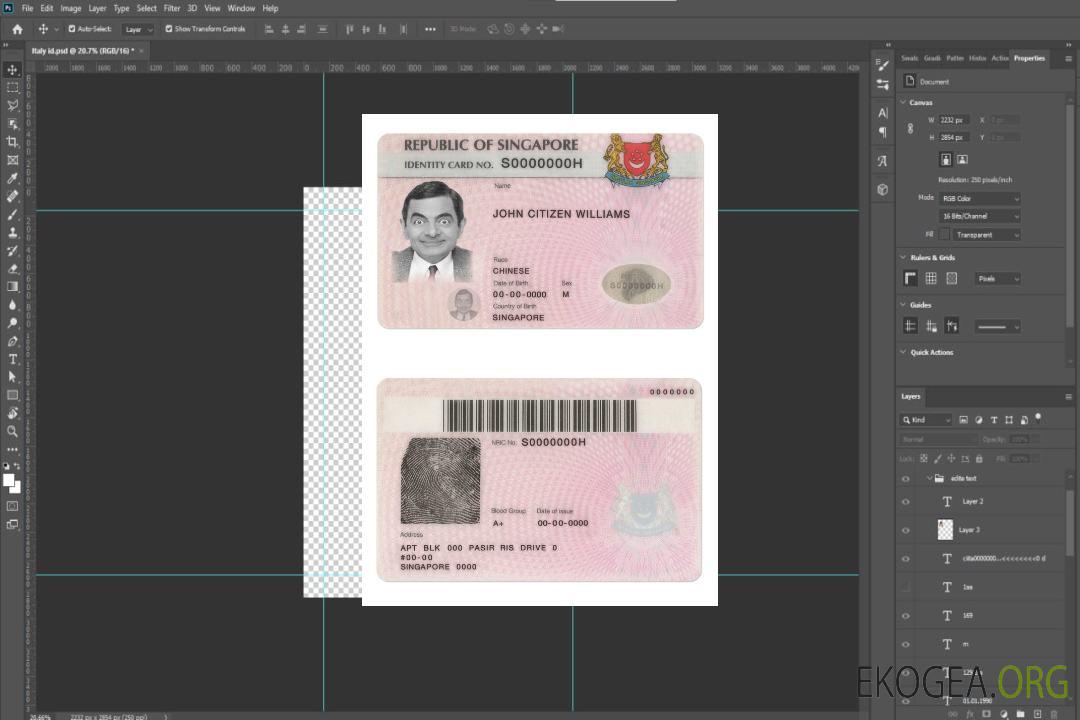 Carte d'identité de Singapour template Carte d'identité de Singapour template